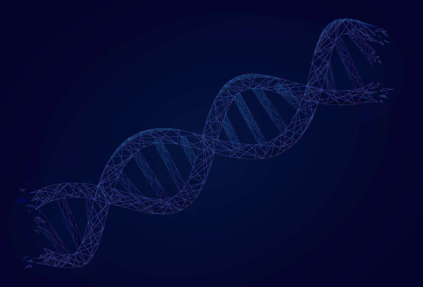 Blue DNA structure isolated background. Low poly DNA digital technology vector. vector