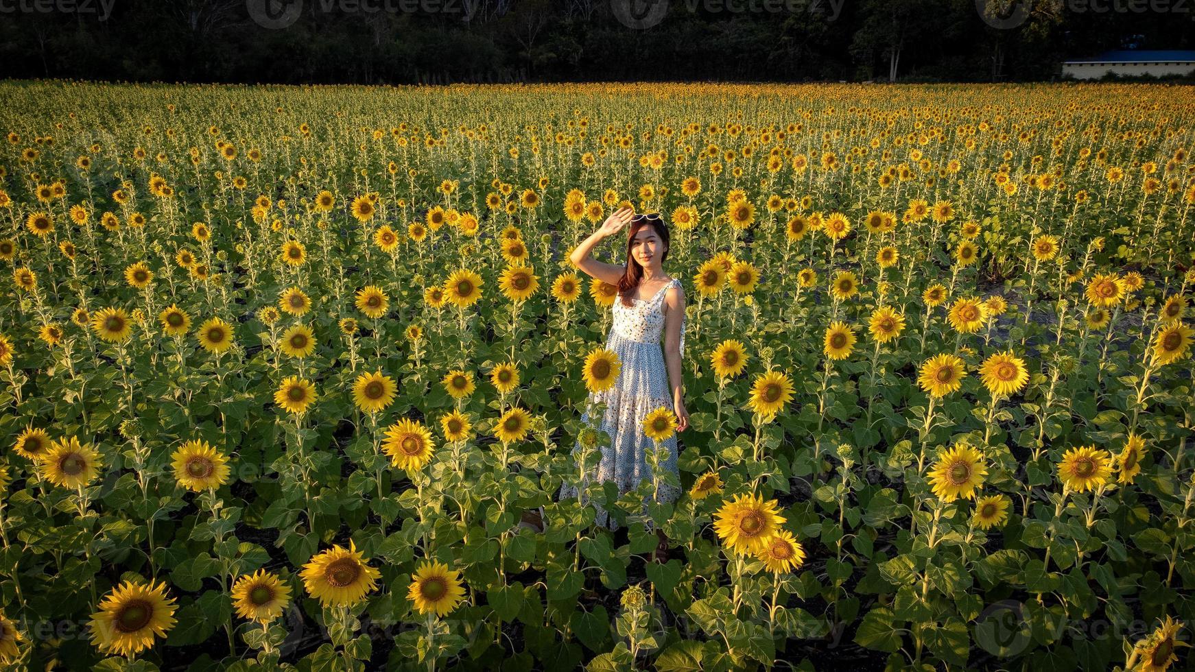 feliz alegre niña asiática con girasol disfrutando de la naturaleza y sonrisa en verano en el campo de girasol. foto