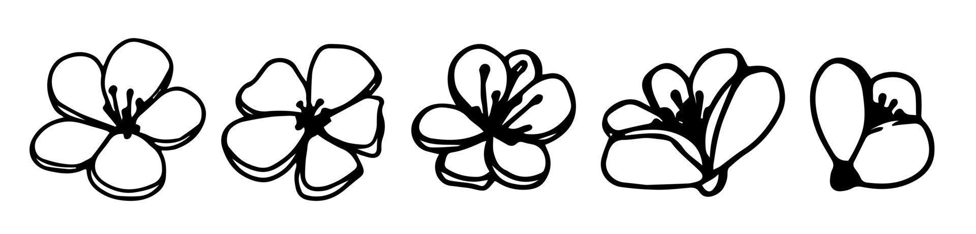 Vector set silhouettes of five hand drawn pink magnolia flowers isolated on white background. Vector illustration. Flowers spring doodle, illustrations