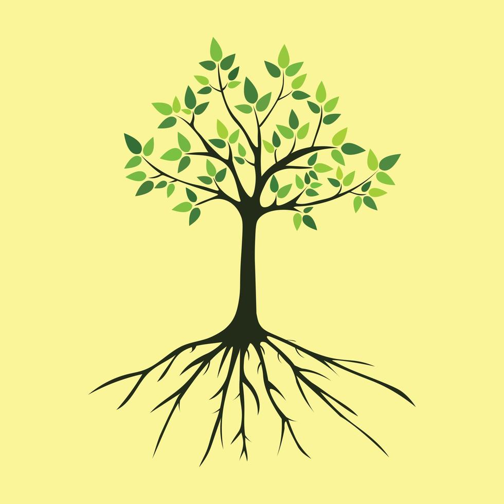 Tree has green leaves with dark brown roots vector illustration
