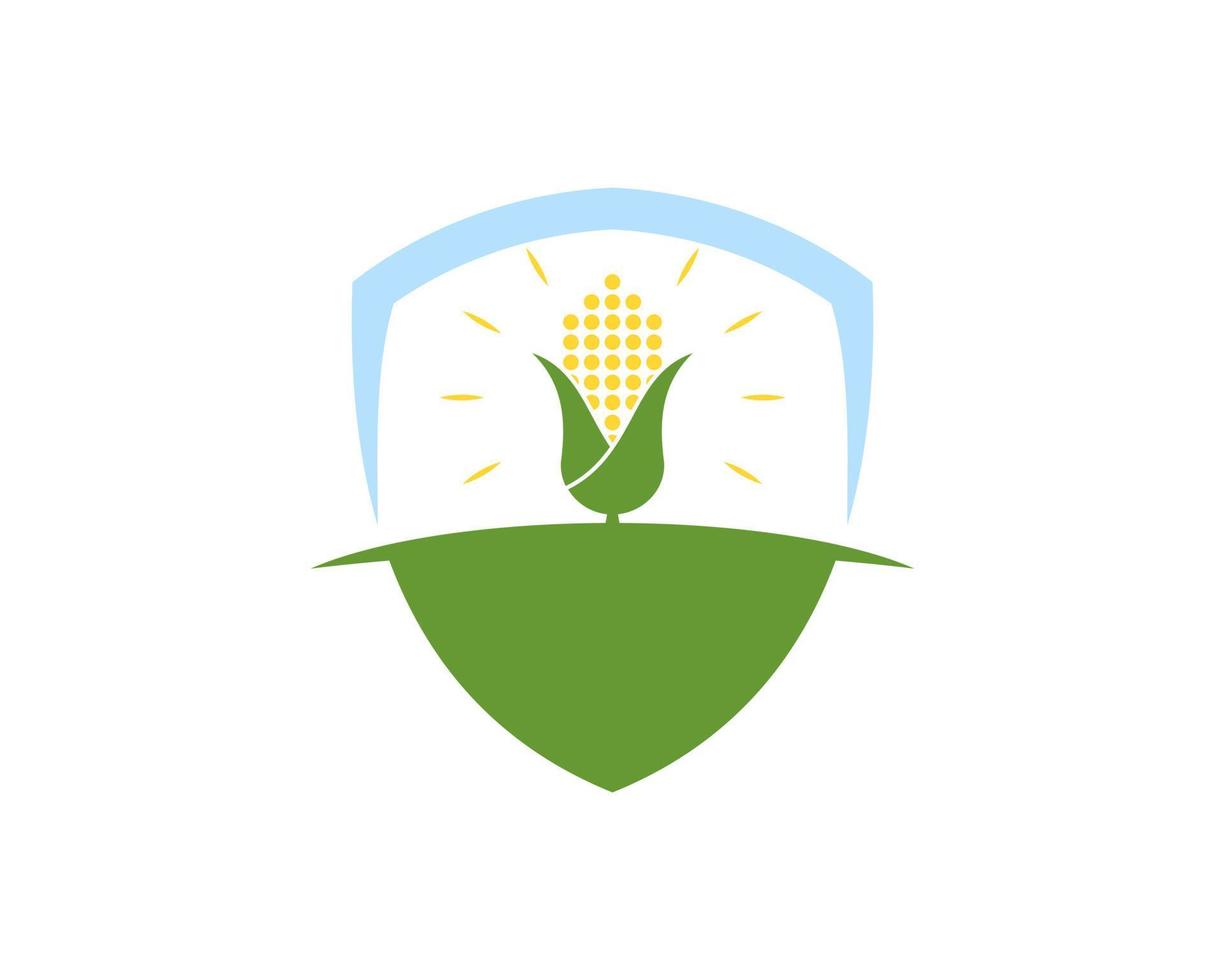 Abstract shield with shinning corn in the farm vector