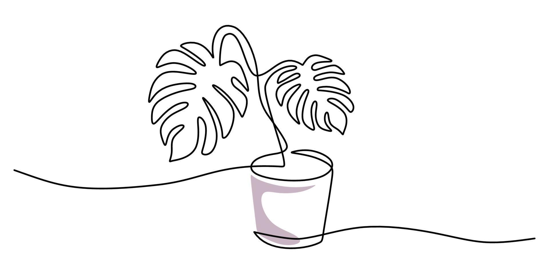 Continuous one single line of monstera plant on pot vector