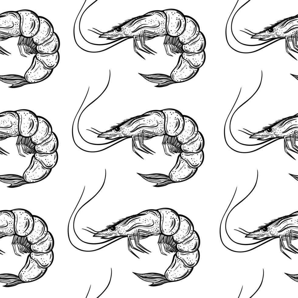 Fresh shrimps seamless vector pattern. Hand-drawn illustrations. Live marine animals outline on a white background. Prawn engraving. Seafood sketch. Monochrome crustaceans. Black and white concept.