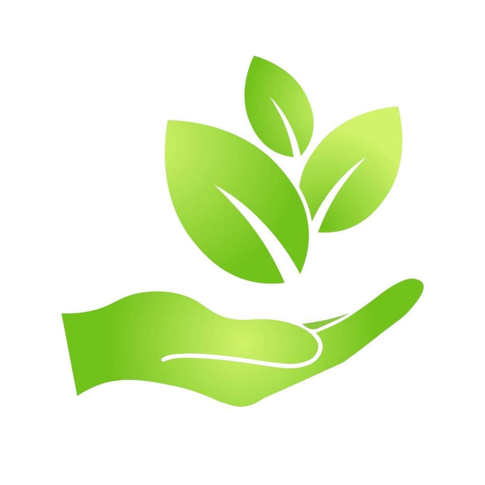 Hand with eco green leaf icon vector