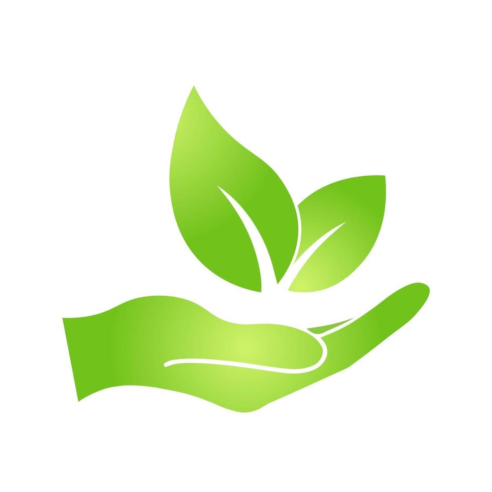 Hand with eco green leaf icon vector