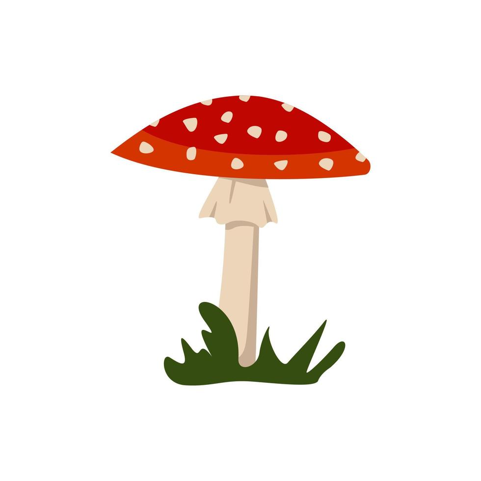 Amanita mushrooms with red caps and white spots. vector