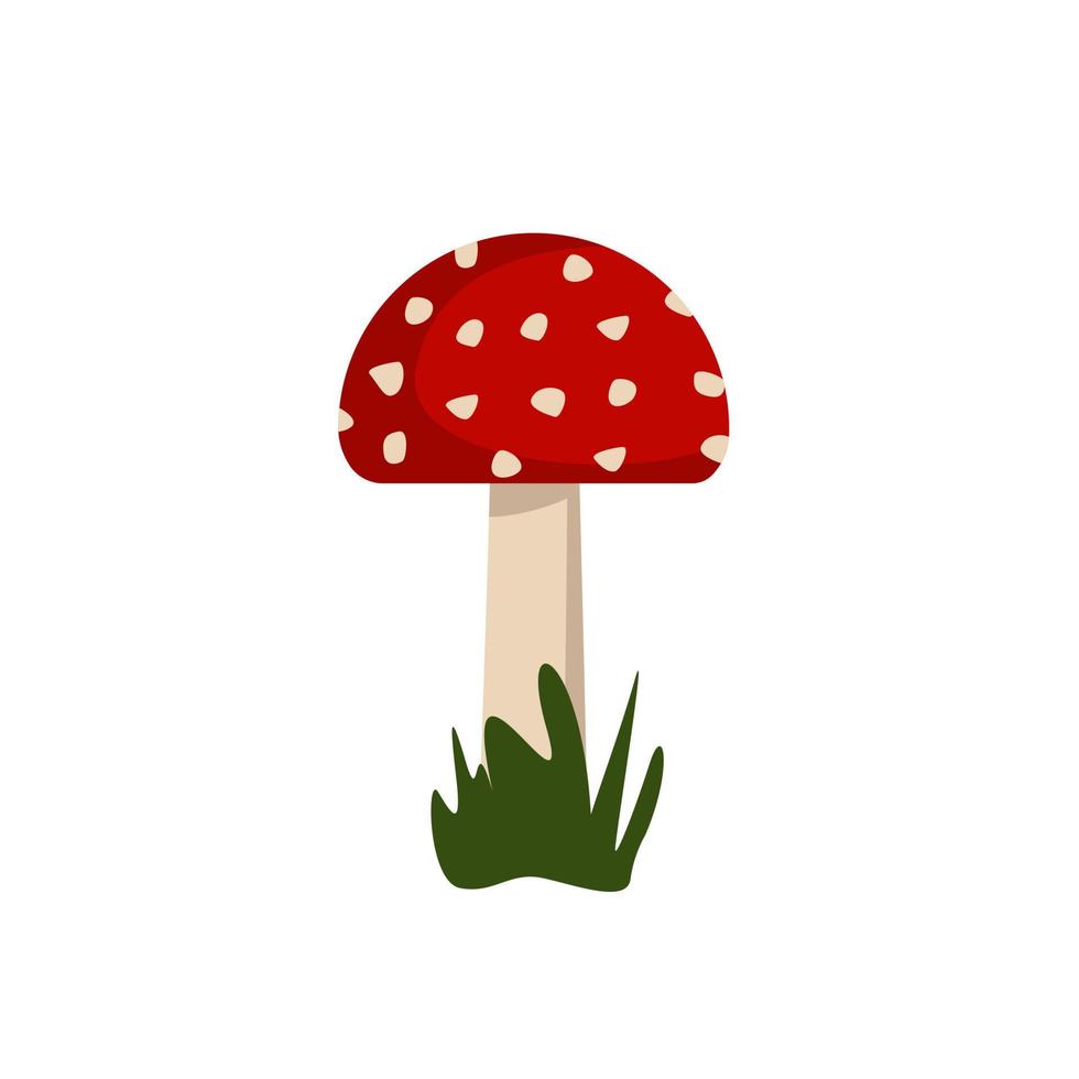 Amanita mushrooms with red caps and white spots. vector