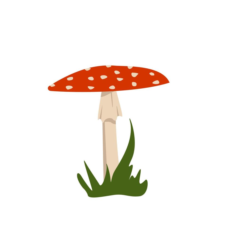 hongos amanita con sombreros rojos y manchas blancas. vector