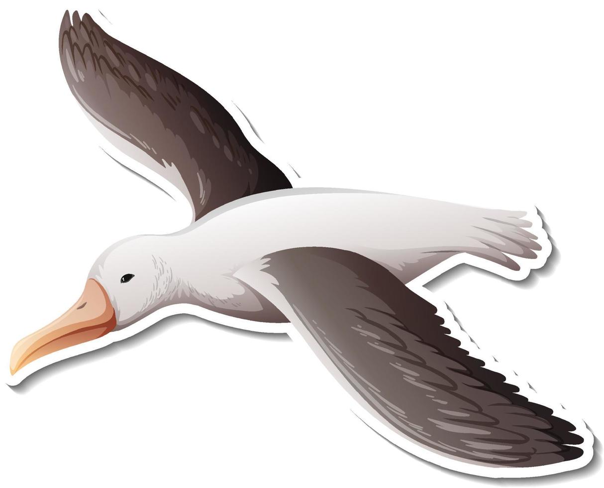 Sea gull cartoon character vector