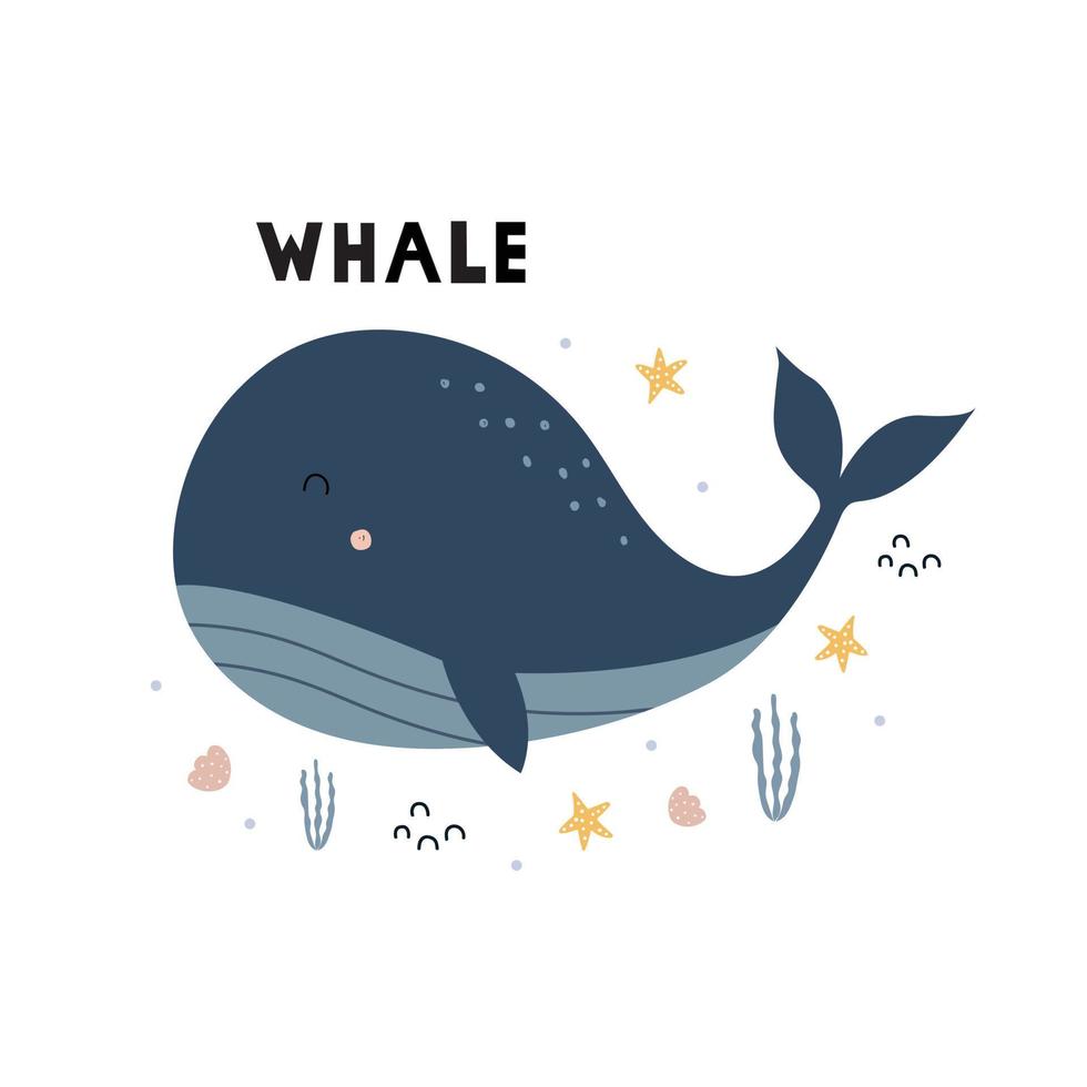 Diseño de estilo plano de dibujos animados de ballena azul para web, ilustración de vector de tarjeta de impresión