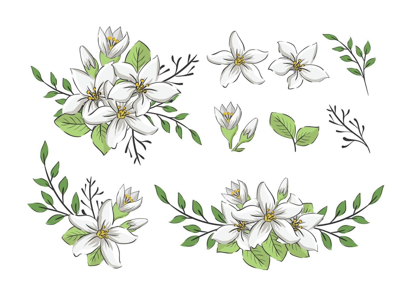 conjunto de arreglo de borde de flor de jazmín vector