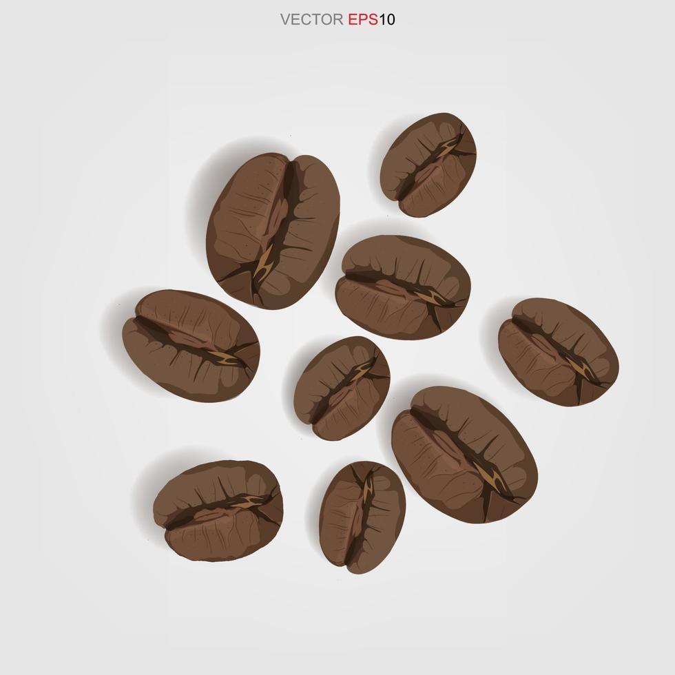 Roasted coffee beans isolated on white background. Vector. vector