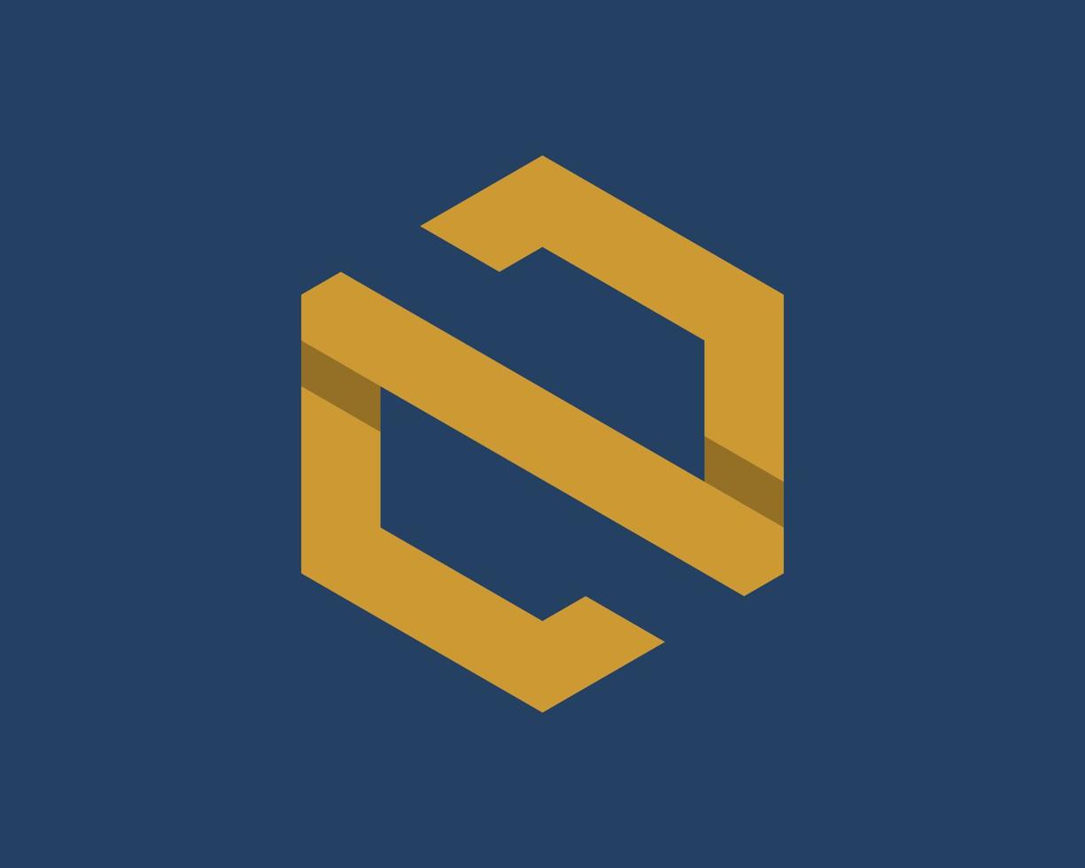 Abstract hexagonal shape with N letter initial vector