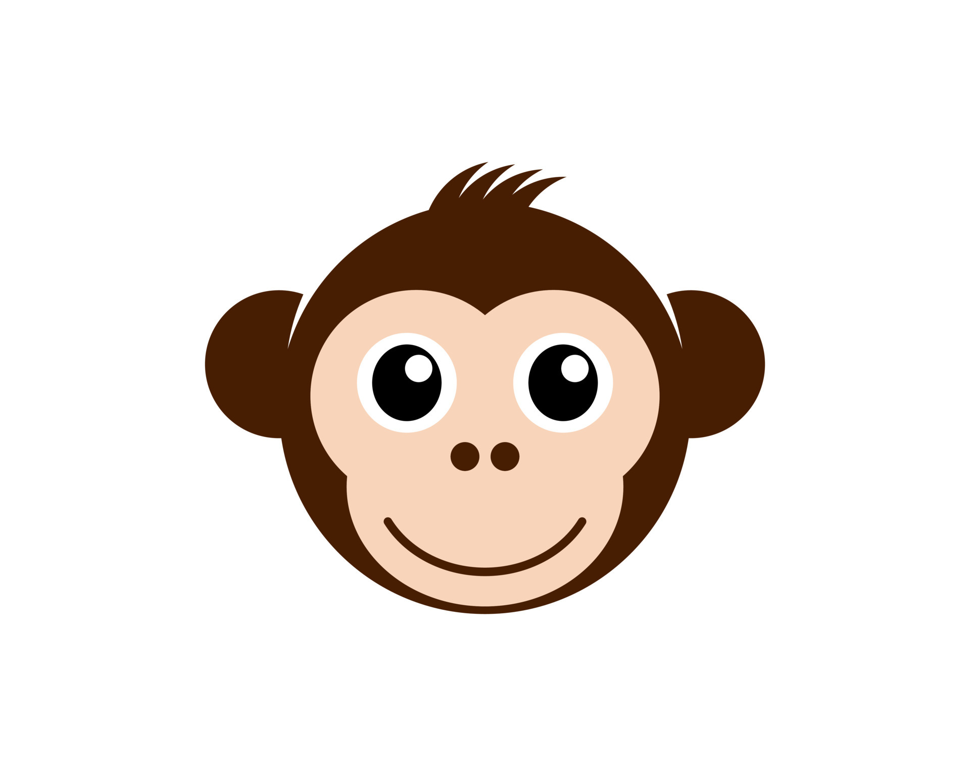Flat Face Monkey: The Internet'S Newest Obsession? - 1jujm1u