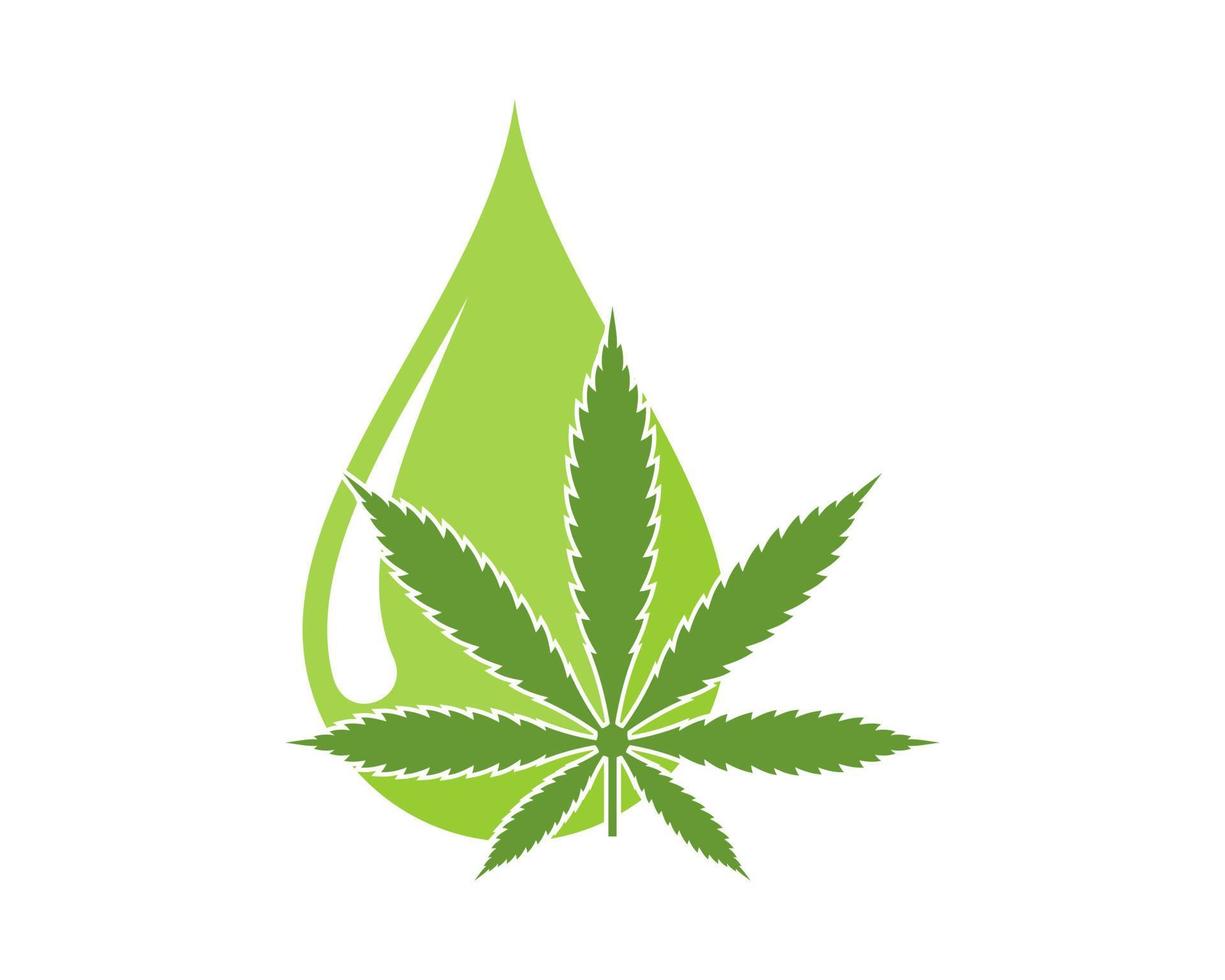 Cannabis oil droplet logo vector