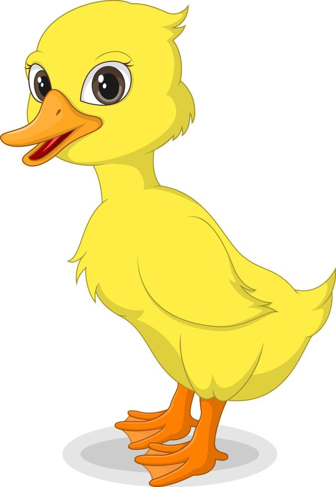 Cute baby duckling isolated on white background vector