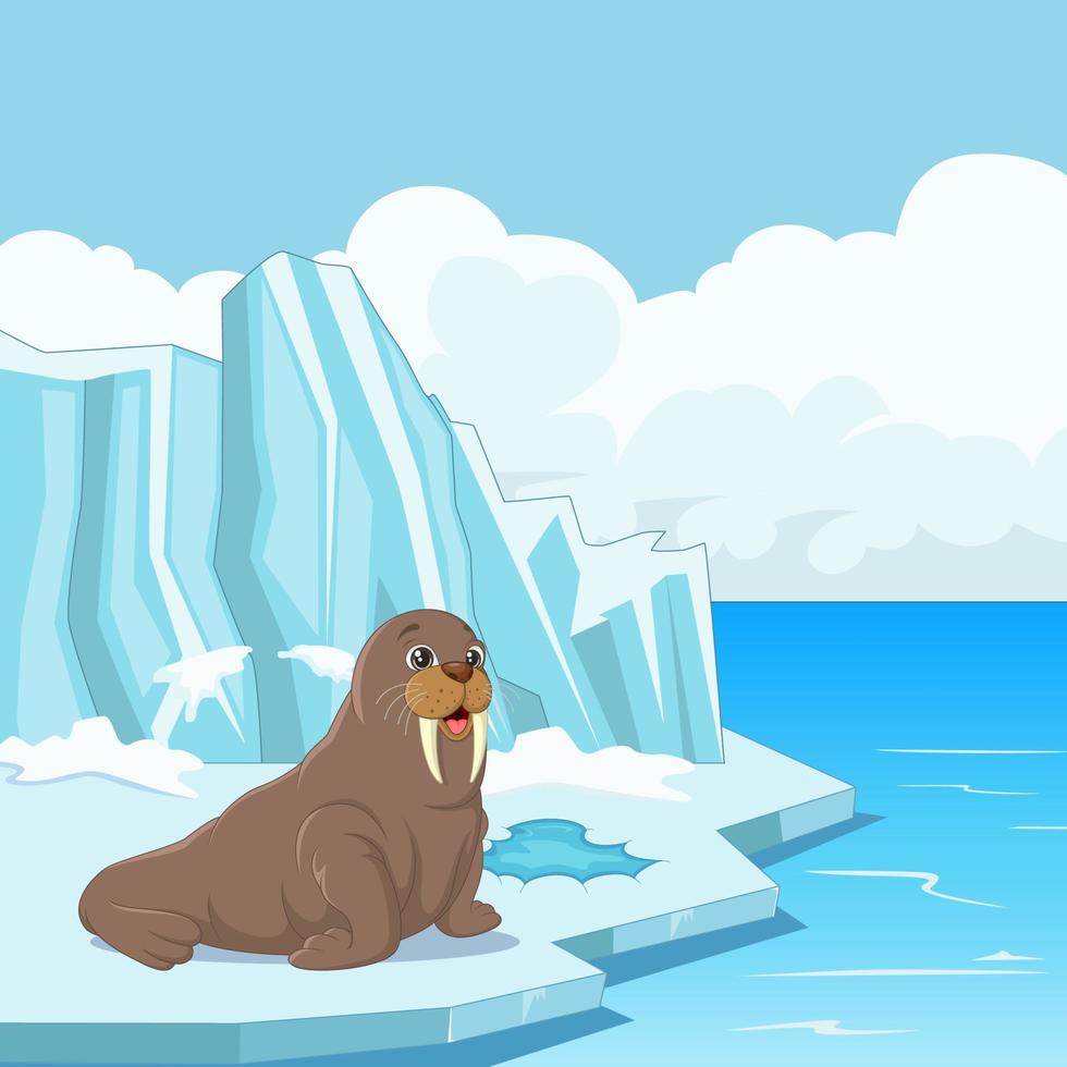 Cartoon walrus floating on ice vector