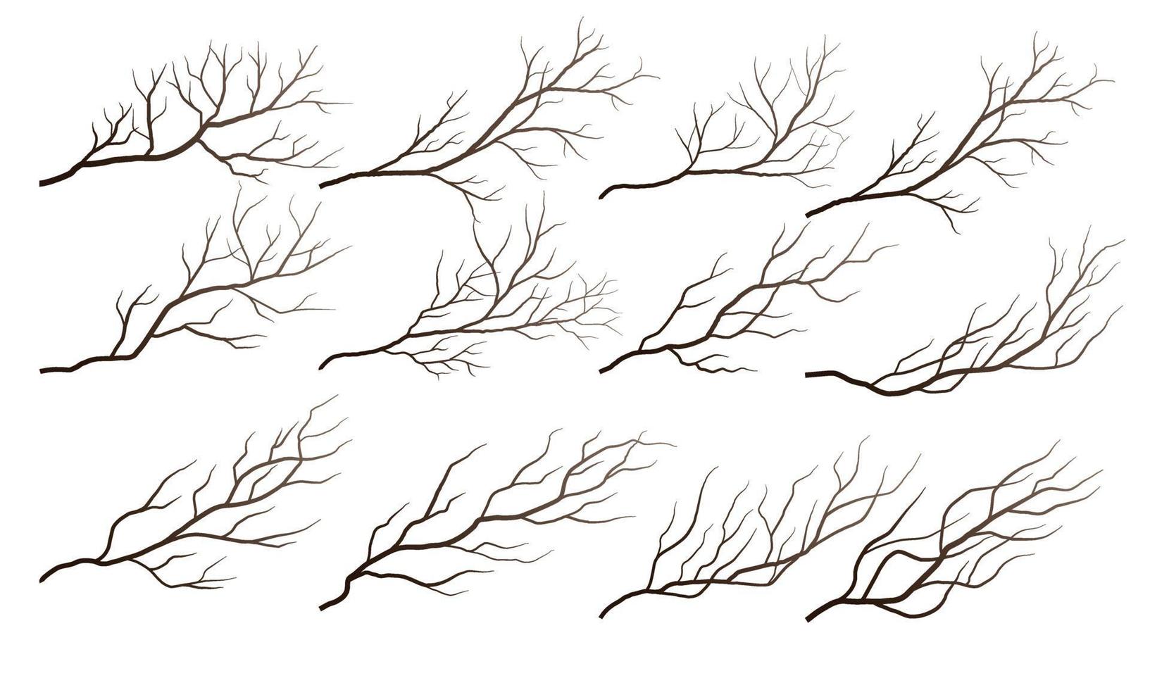 dry tree branches vector