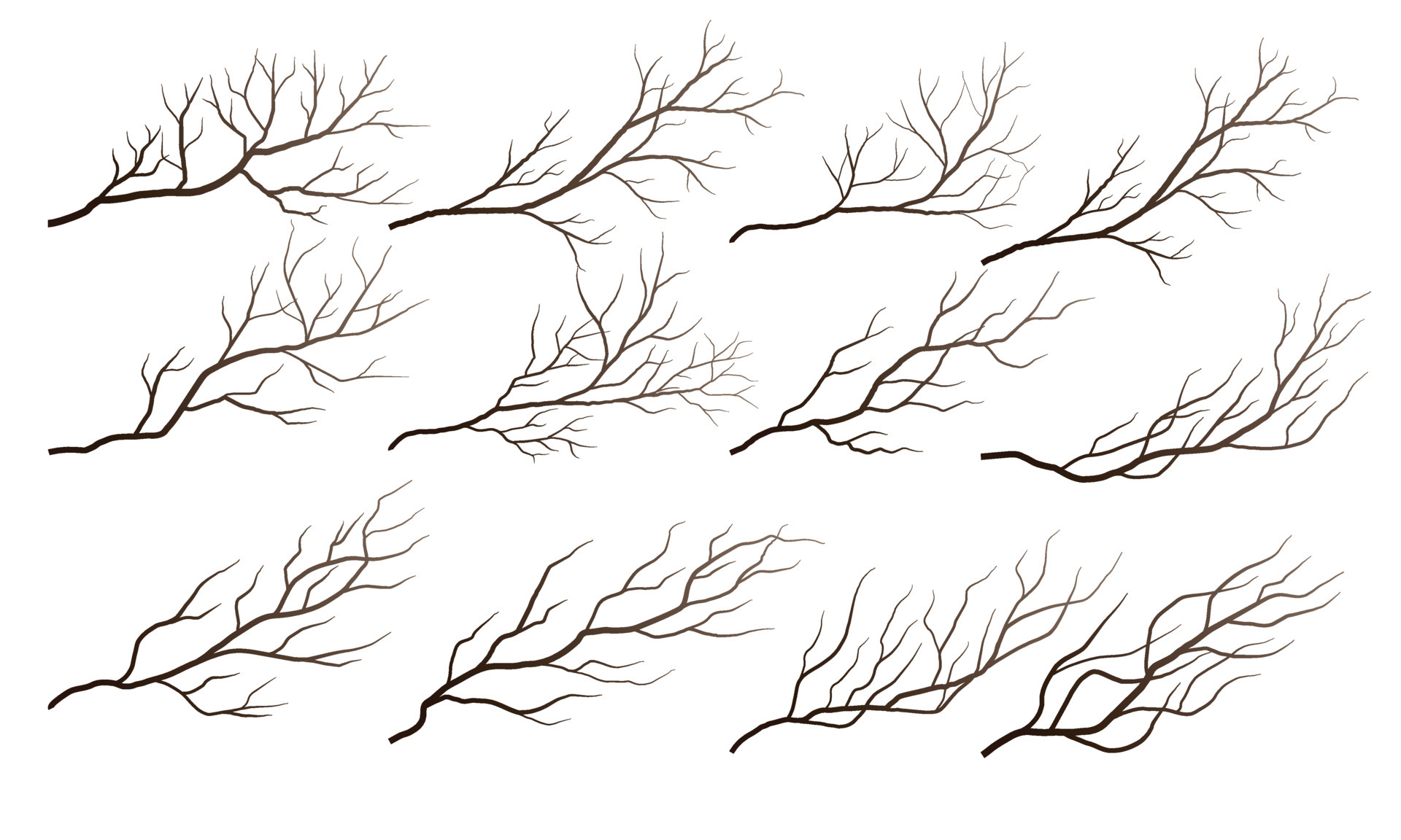 dry tree branches 4992109 Vector Art at Vecteezy
