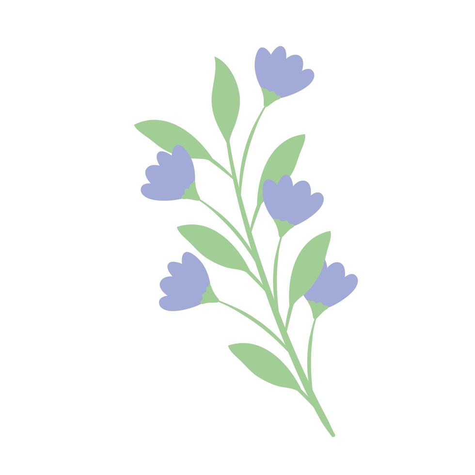 lilac flowers branch vector