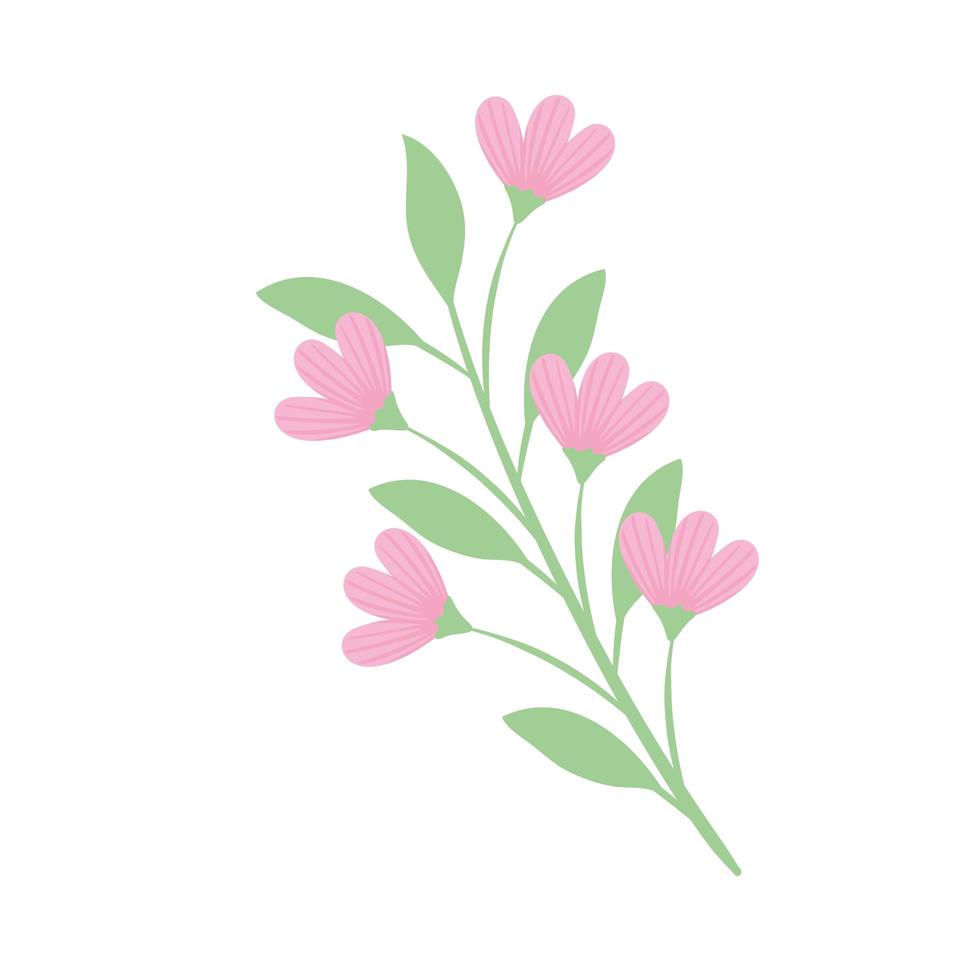 pink flowers branch vector