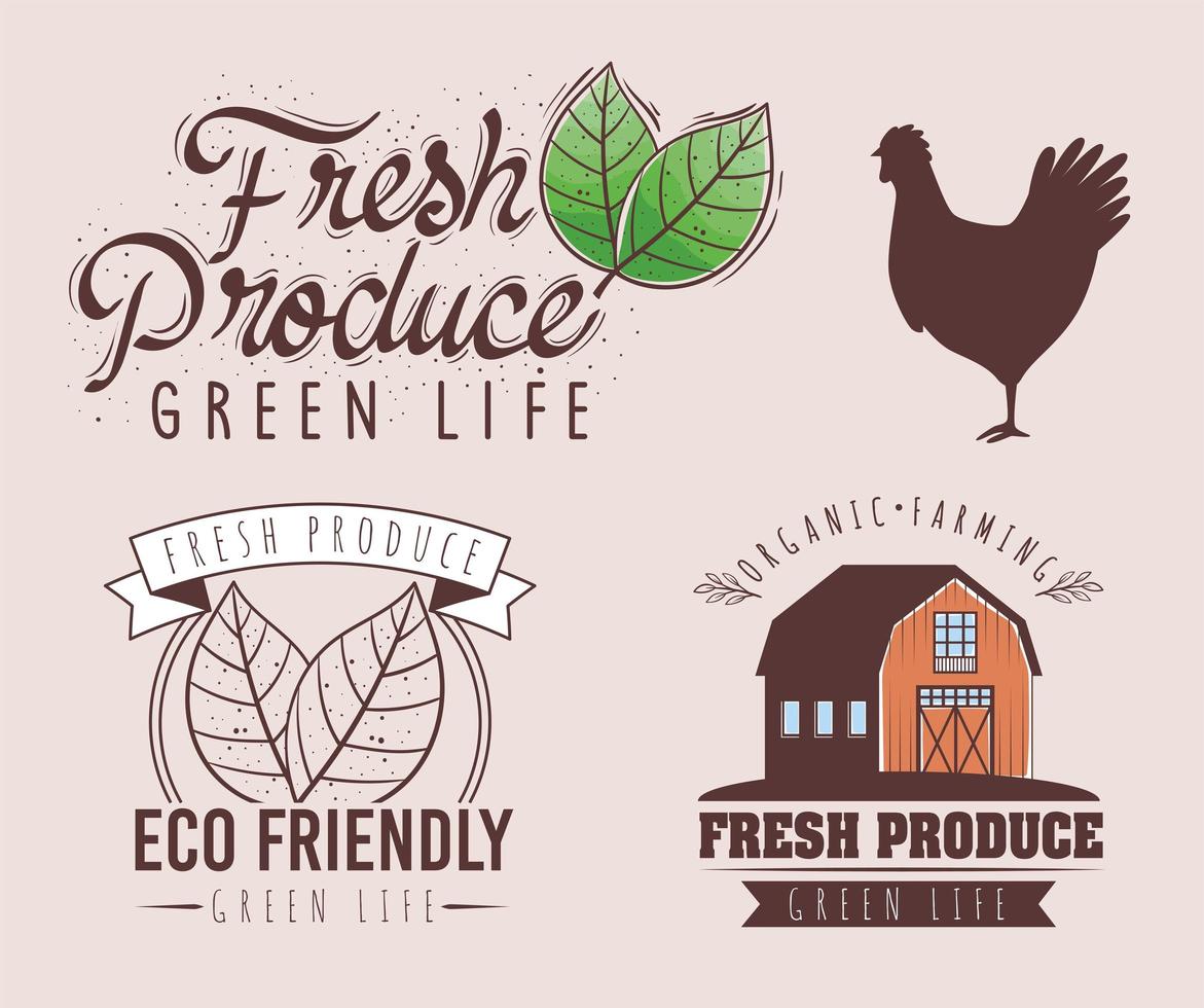 Fresh produce labels vector