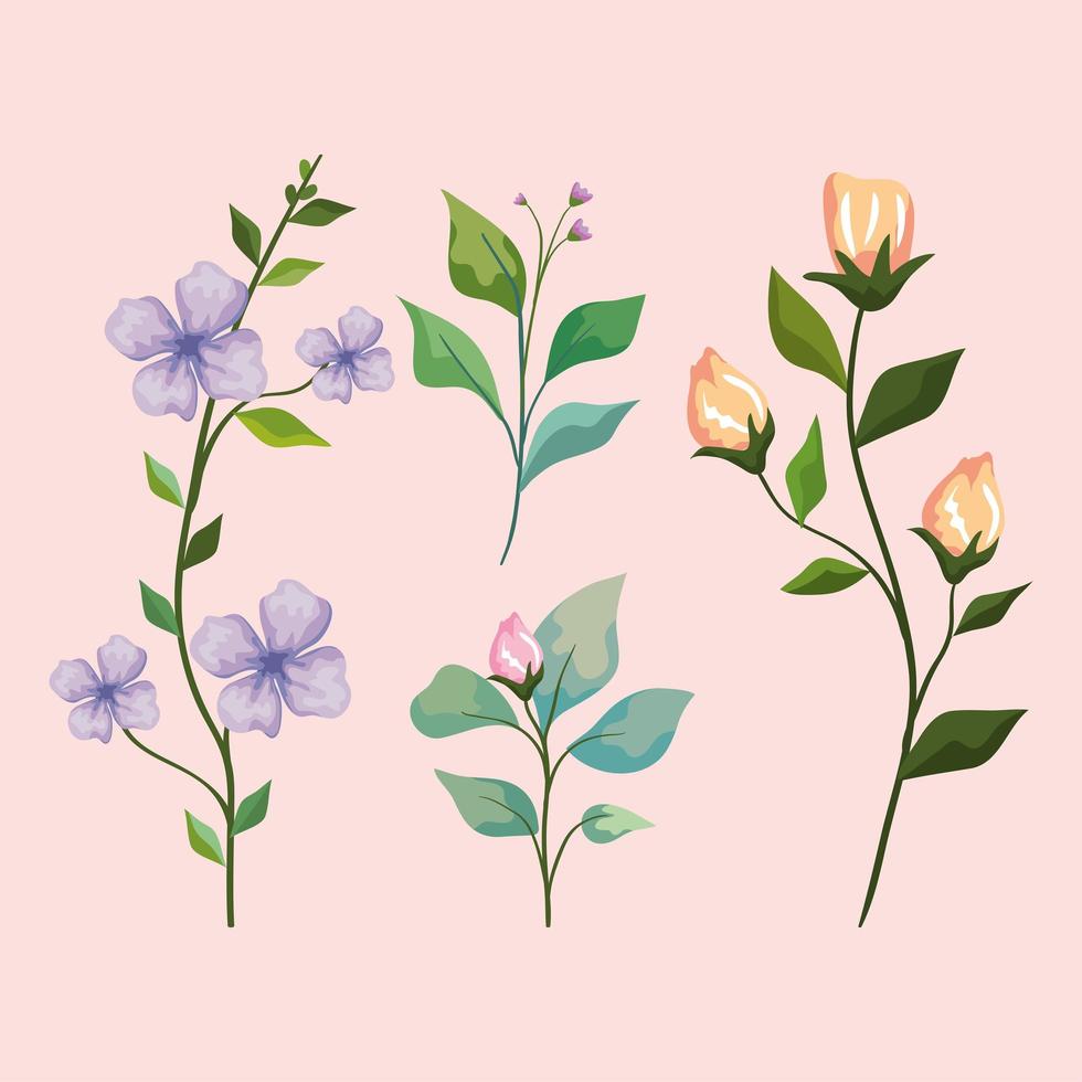 flowers with leaves icon collection vector