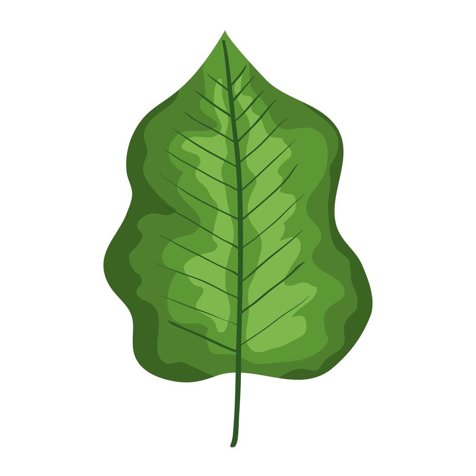 icono de hoja verde vector