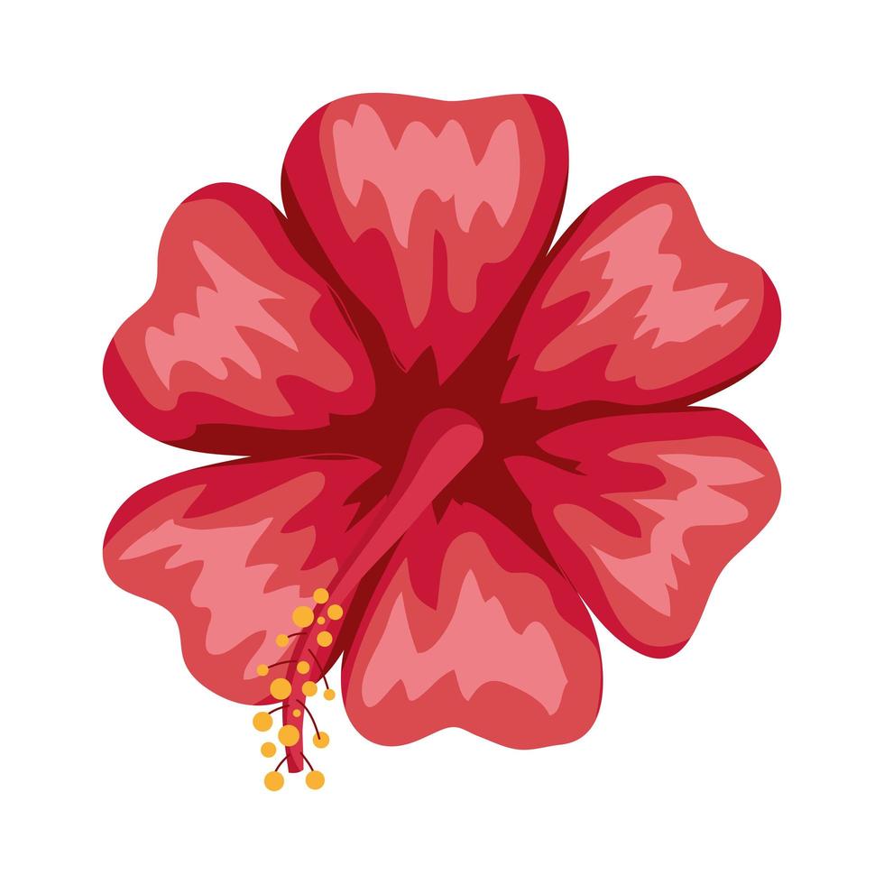 red hawaiian flower vector