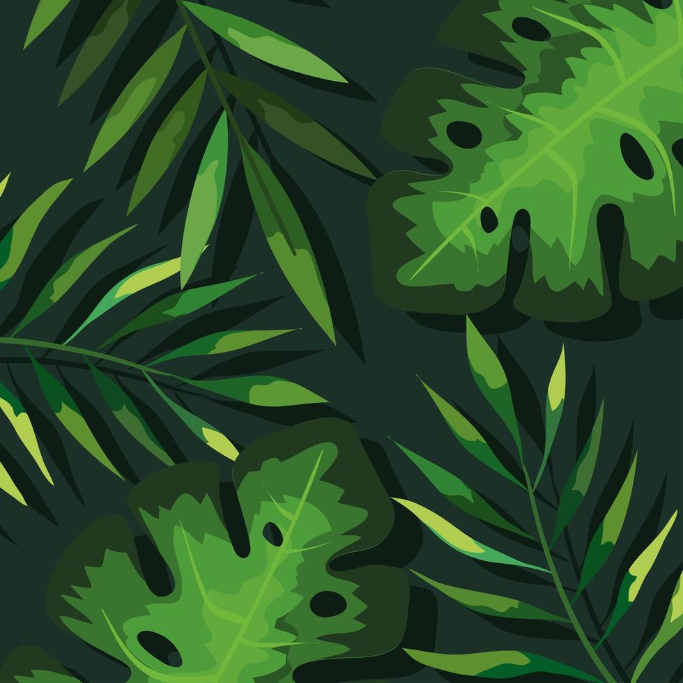 tropical leaves background vector