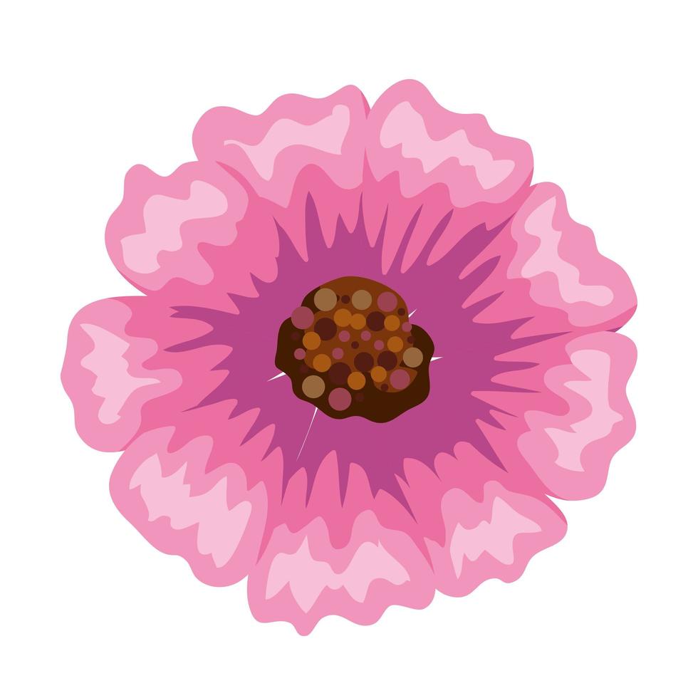 Isolated pink flower vector