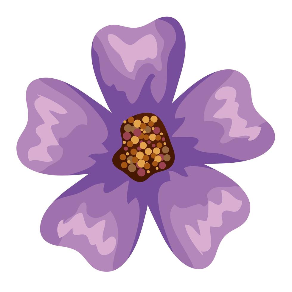 Isolated purple flower vector