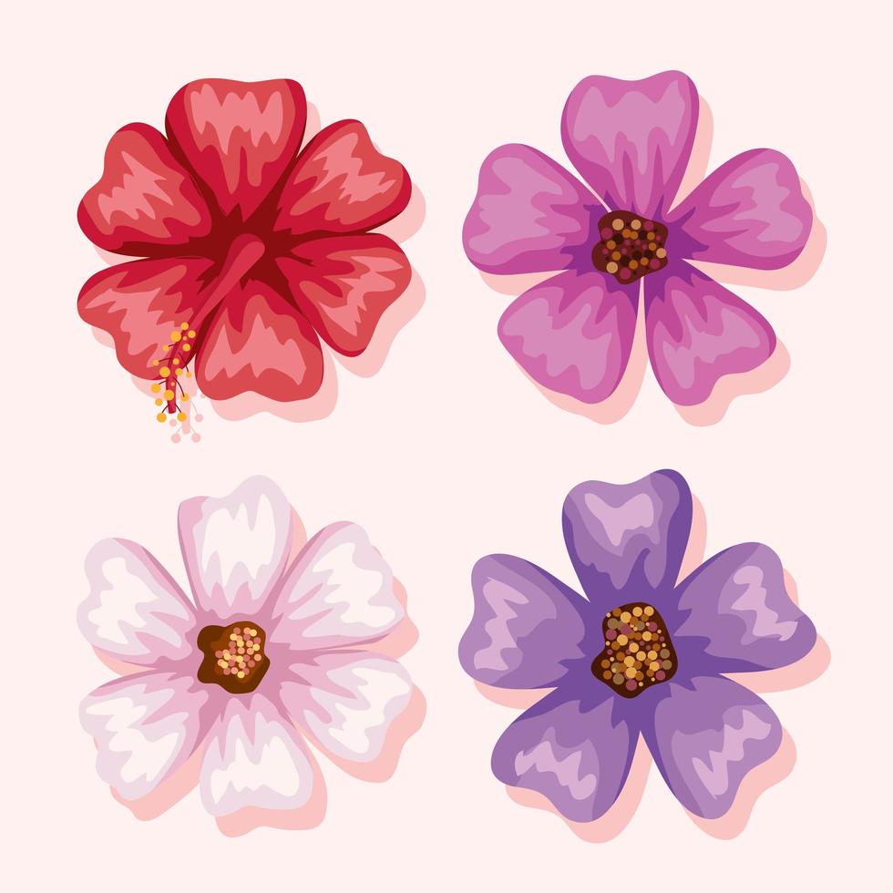 flowers symbol collection vector