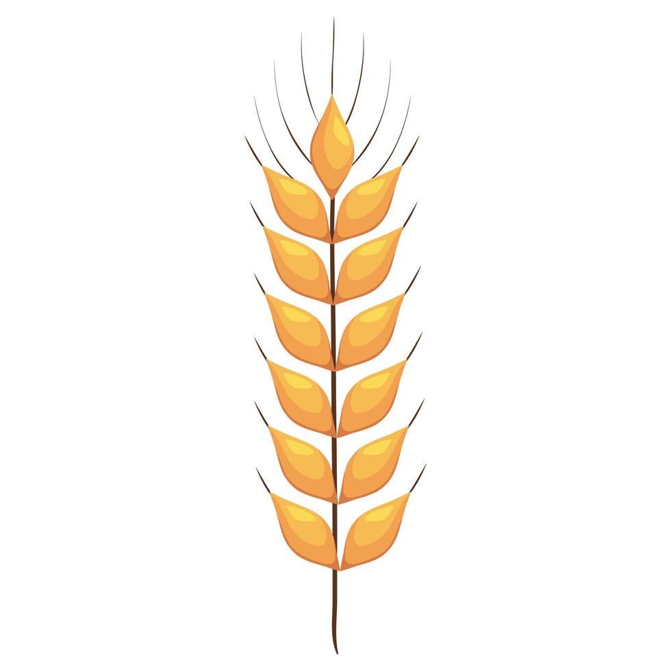 wheat spike icon vector