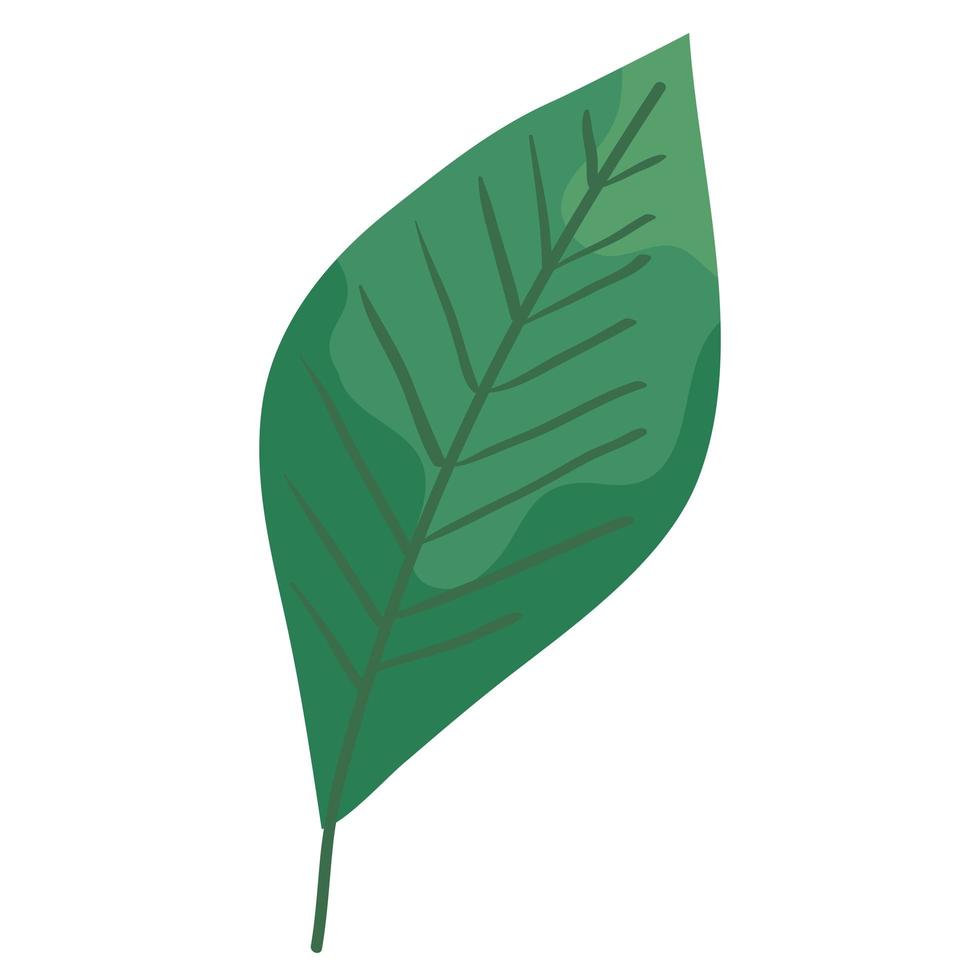 leaf nature icon vector