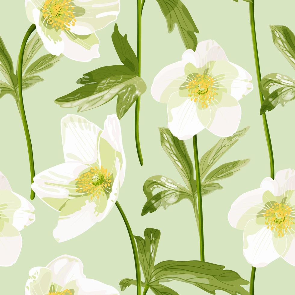 Anemone canadensis. Seamless pattern with white anemone flowers in pastel colors. Delicate white wildflowers. Botanical stock vector illustration.