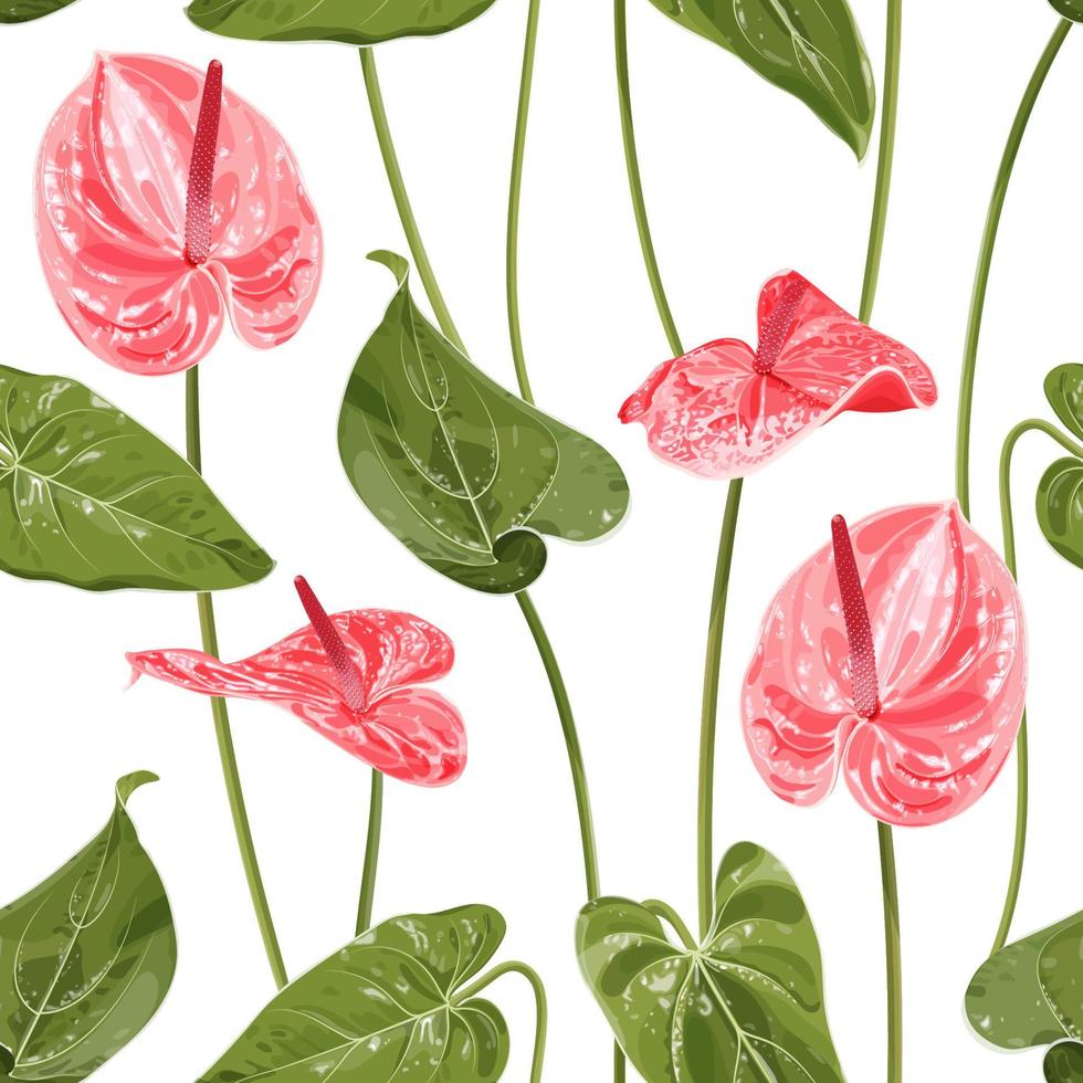 Anthurium. Seamless floral pattern with pink glossy flowers and anthurium leaves. Tropical pattern on a white background. Stock vector illustration.