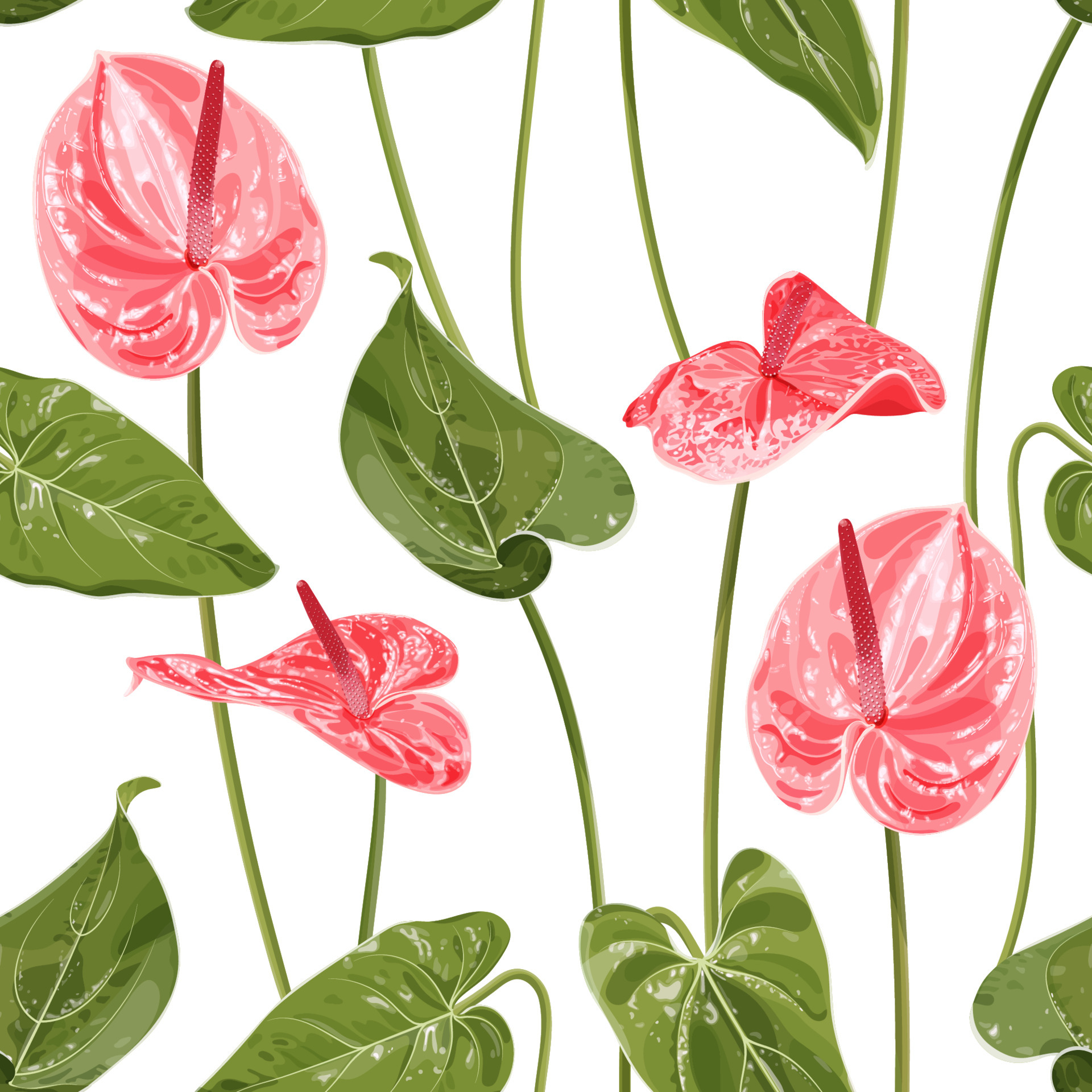 Anthurium. Seamless floral pattern with pink glossy flowers and