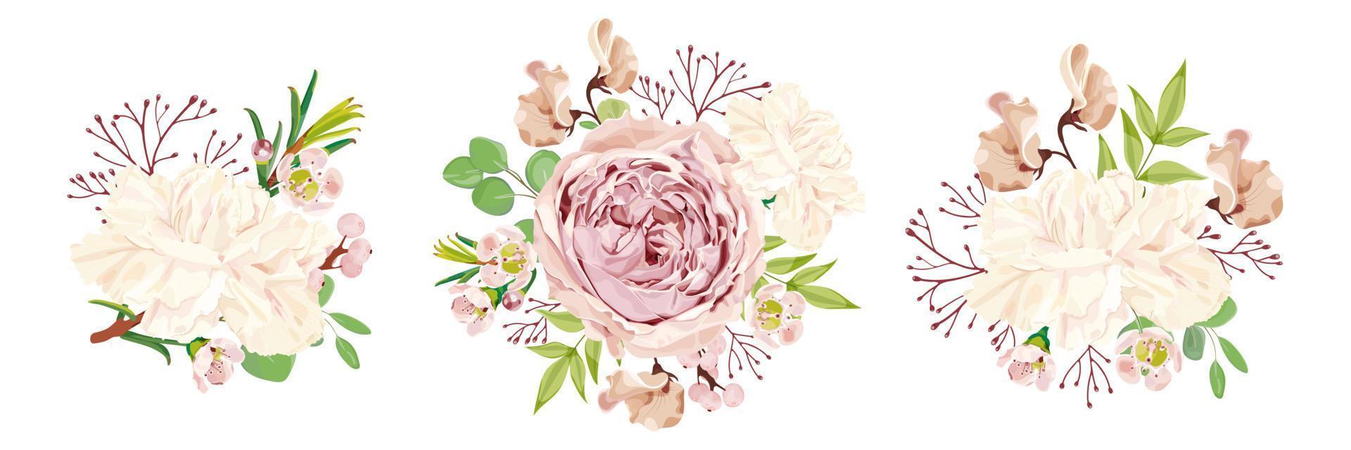 Set of vector floral bouquets. Peony rose, white carnation, chamelaucium, lathyrus, eucalyptus, and branch of pink berries. Wedding floristics. Spring bouquet. Stock Vector Illustration.