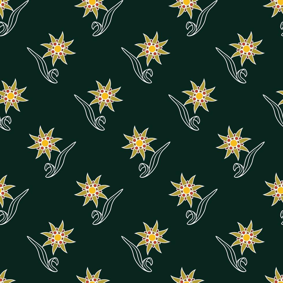 Edelweiss. Botanical pattern with edelweiss flowers. Pattern based on the logo vector