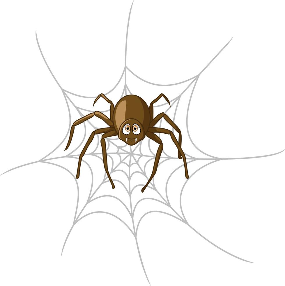 Araña de dibujos animados en telaraña aislado sobre fondo blanco. vector