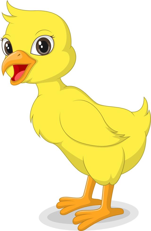 Cute baby duckling isolated on white background vector