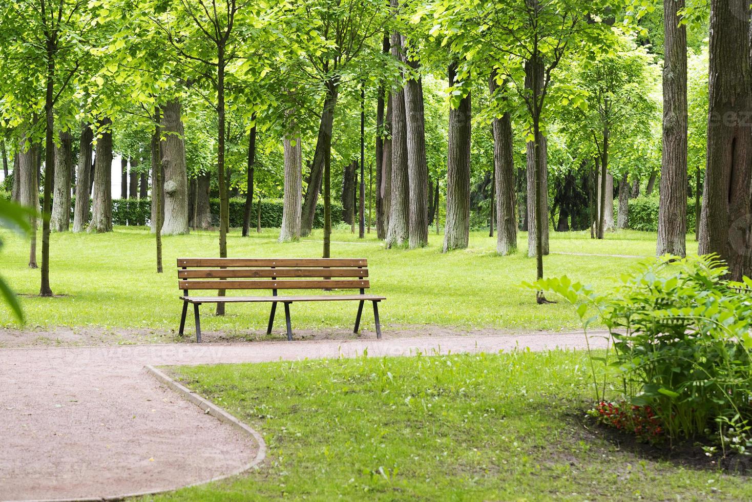 banco solitario en el parque. foto