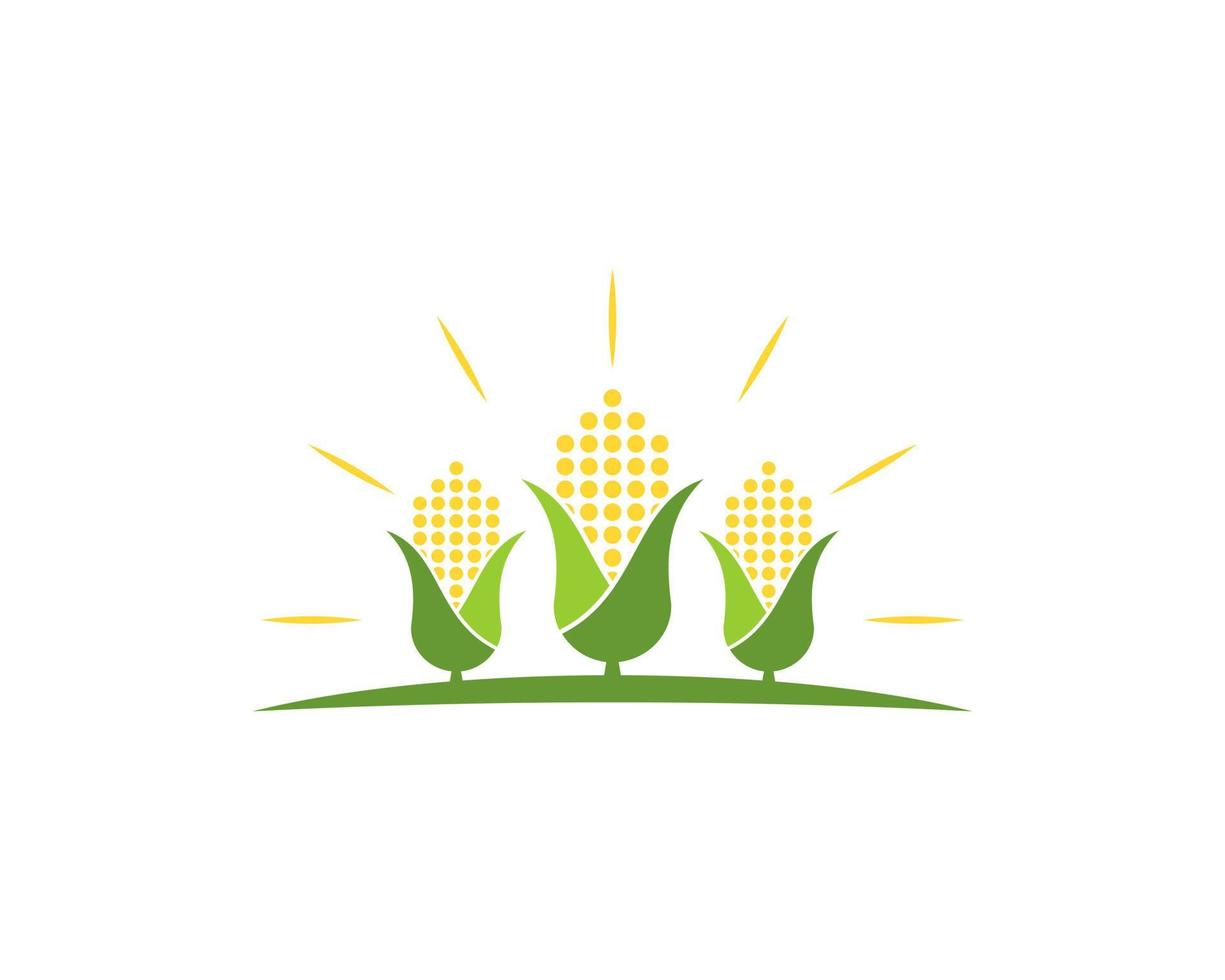 Three corn in the farm with shinning shine on the top vector