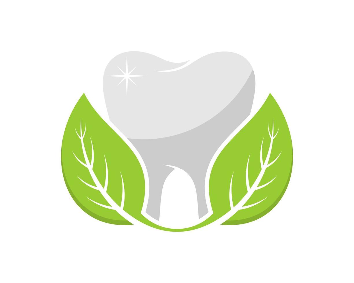 Healthy teeth with green leaves vector