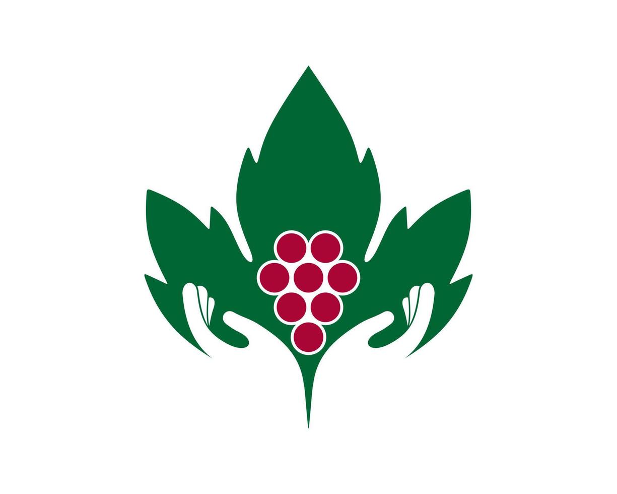 Wine leaf and grape care vector
