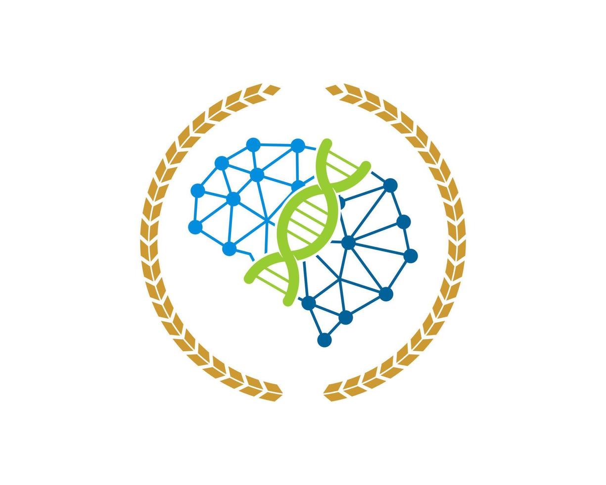 Trigo circular con cerebro abstracto y símbolo de adn dentro vector