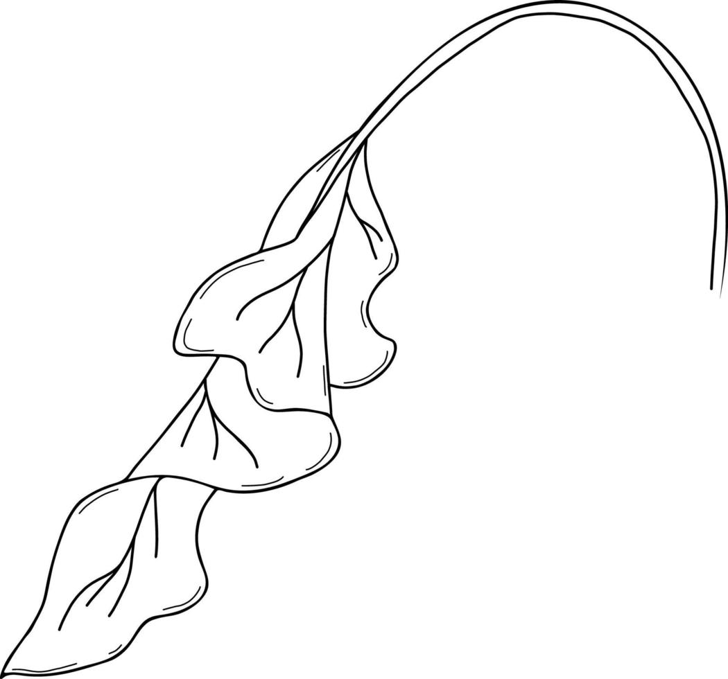 Plant. Big leaf. Vector illustration.Linear doodle element for design and decor.