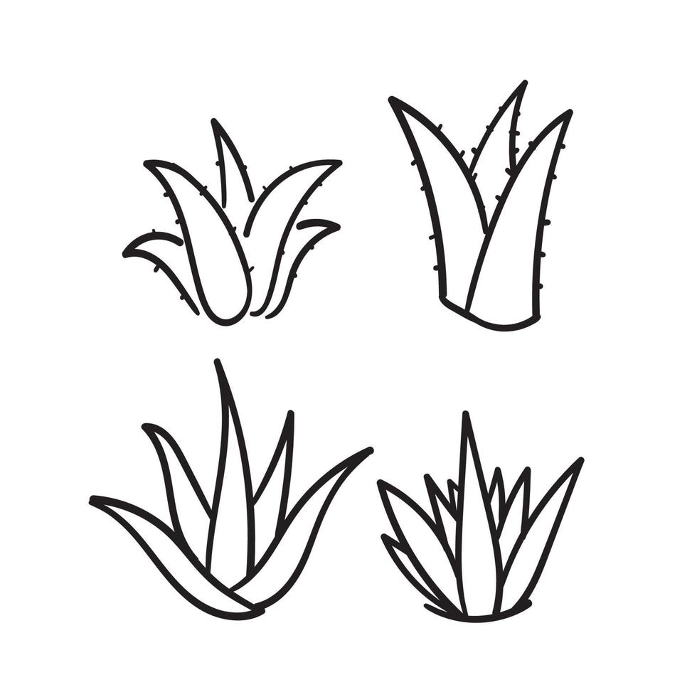 hand drawn doodle aloe vera illustration icon isolated background vector