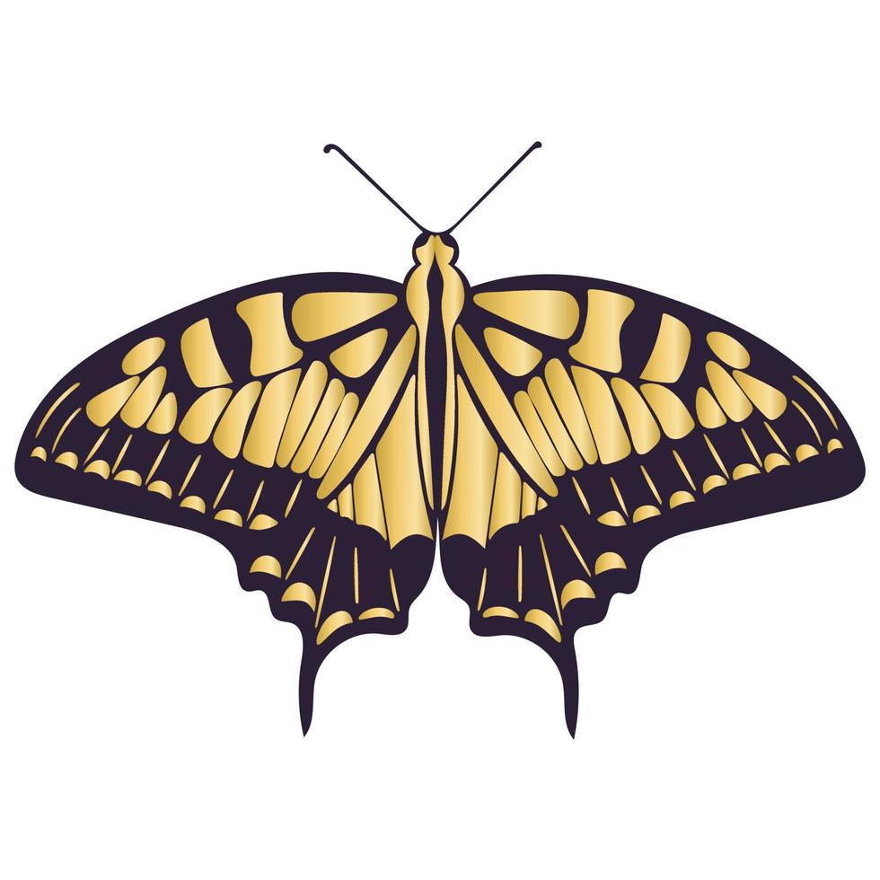 Ilustración de vector aislado mariposa hermosa simétrica dorada